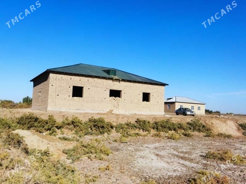 Satlykjay - Boldumsaz - img 1