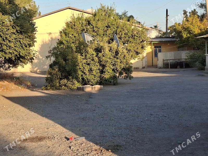 Mellek - Бузмеин - img 4