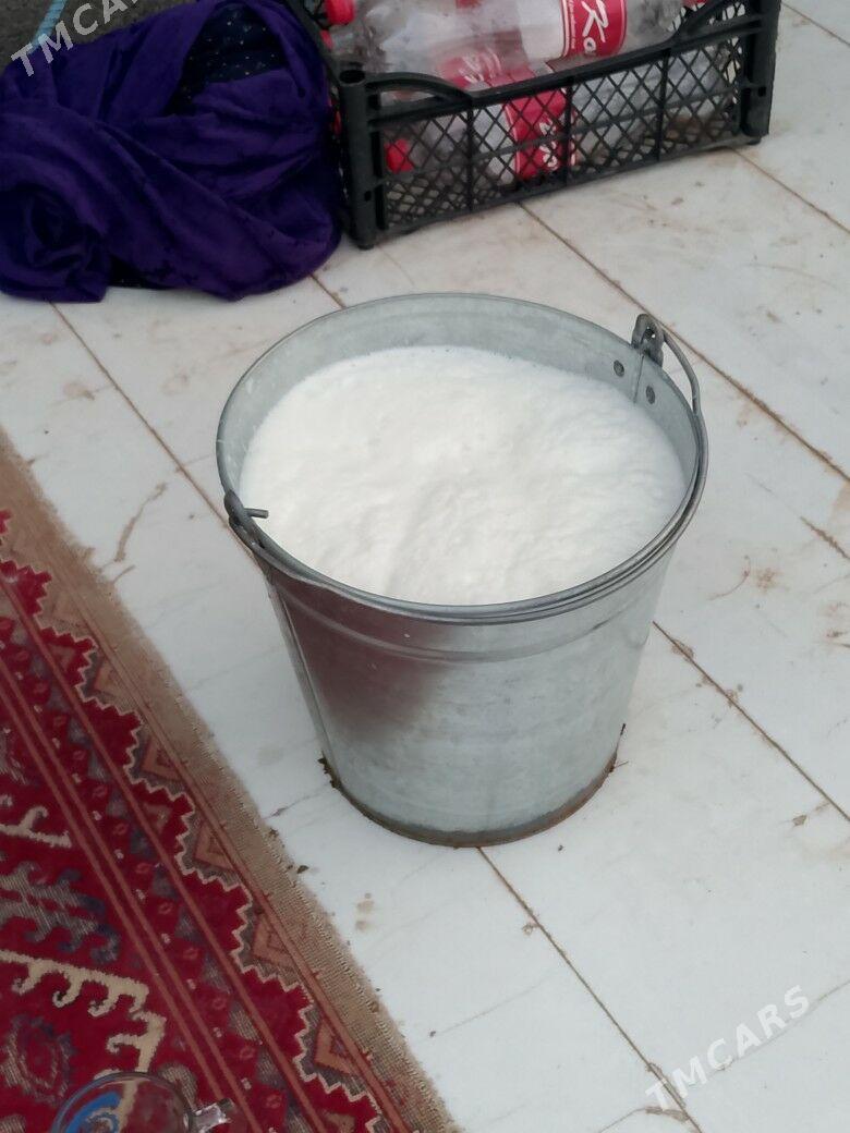 Göleli Sygyr - Çoganly - img 5