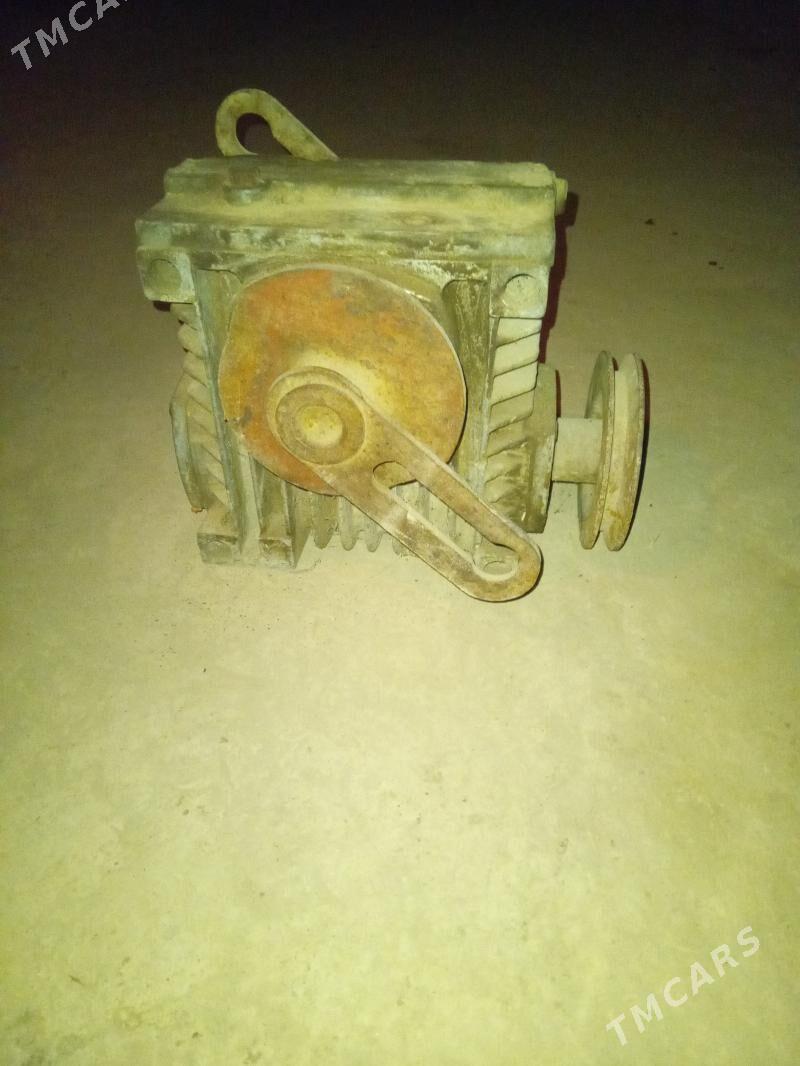 Reduktyr - Gurbansoltan Eje - img 3