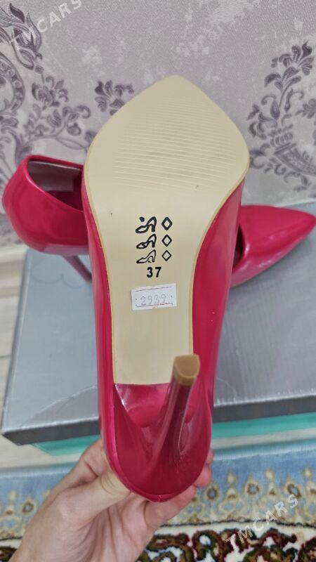 rozywy steletta - Gurtly - img 1