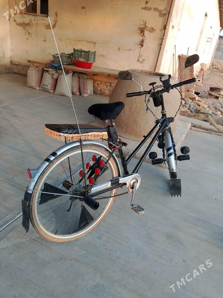 Welli - Шабатский этрап - img 3