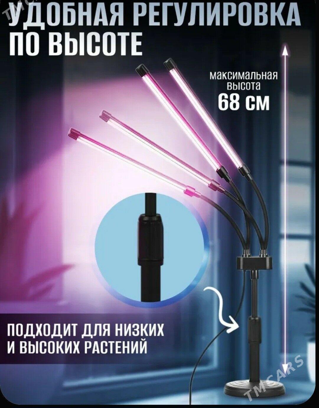 фитолампа - Ашхабад - img 4