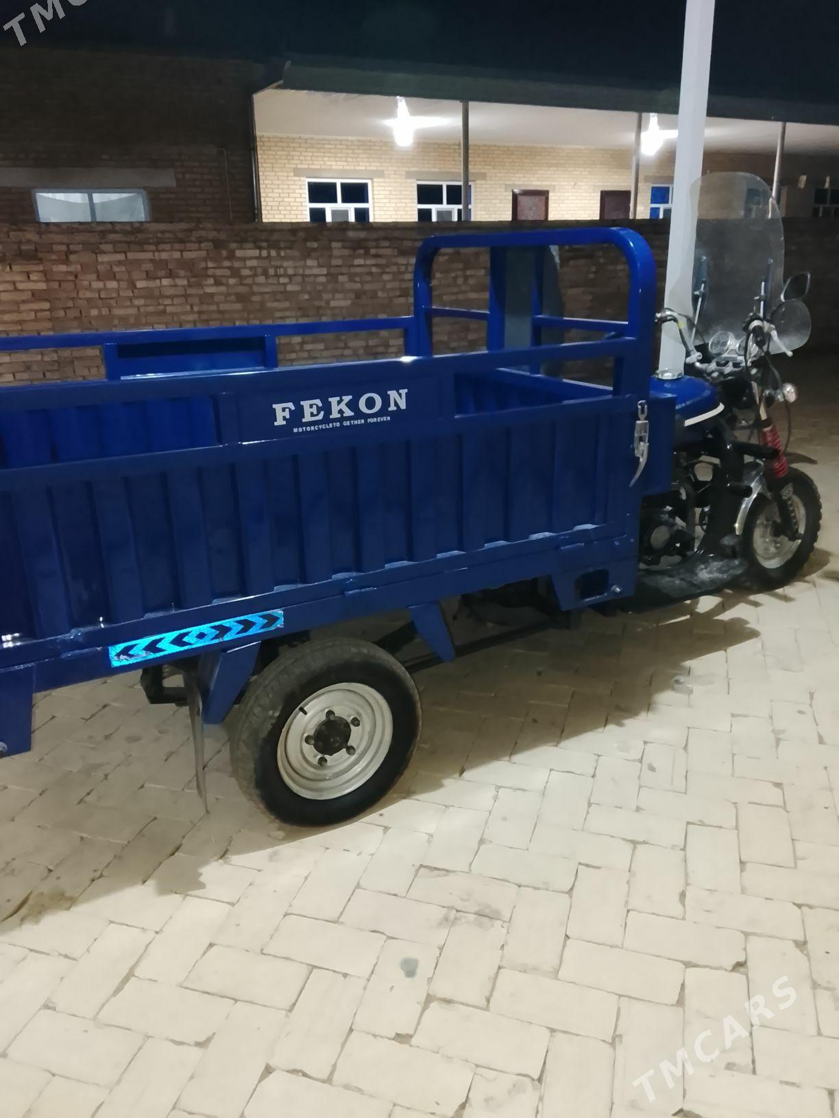 Fekon FK200-14G 2018 - 20 000 TMT - Каракумский этрап - img 2