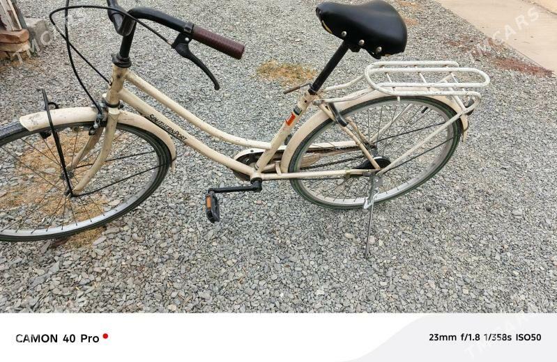 yapon tigit - Bäherden - img 2