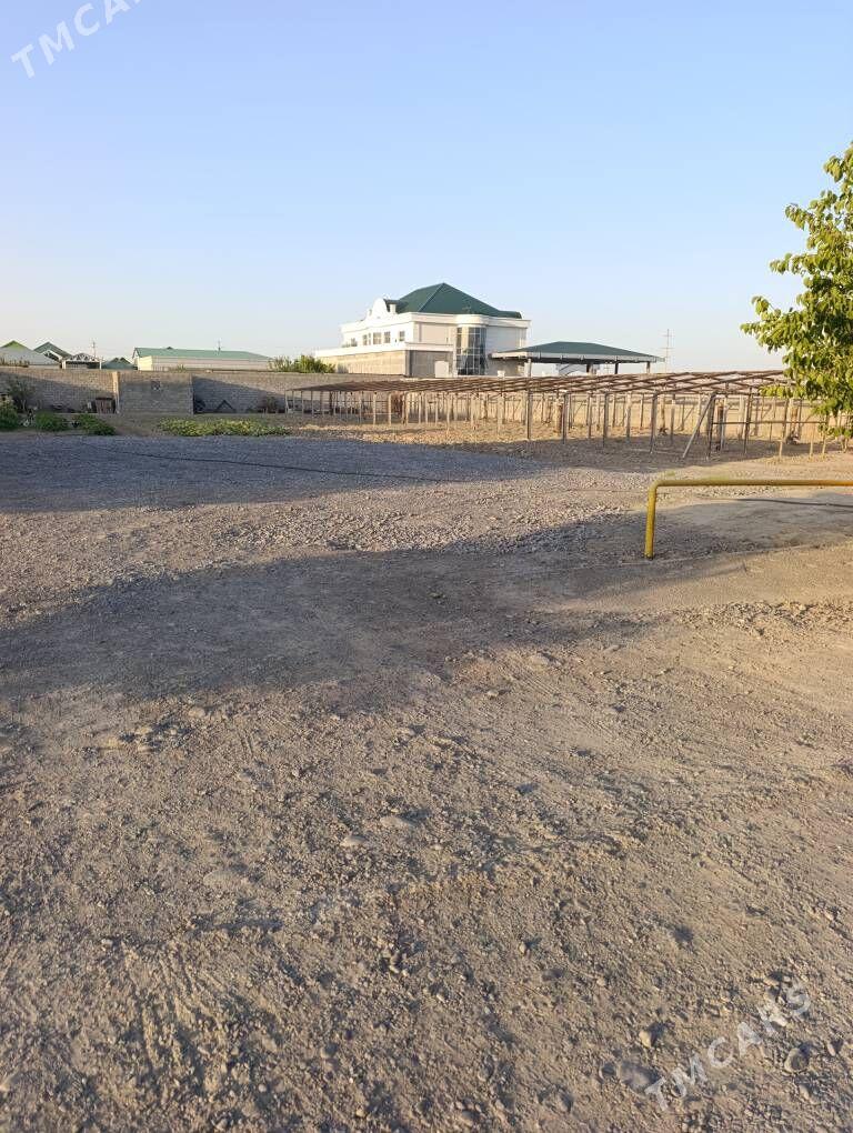 Yasman melek jay - Ашхабад - img 3