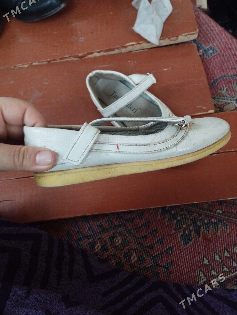 sadik mekdep yasly caga kowush - Дашогуз - img 4