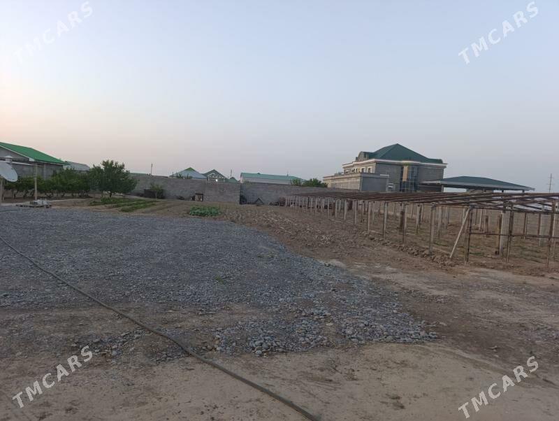 Yasman melek jay - Ашхабад - img 4