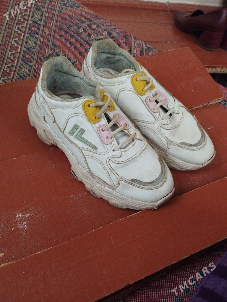 sadik mekdep yasly caga kowush - Дашогуз - img 2