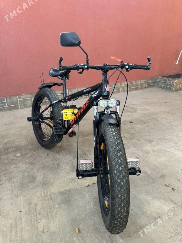 Tigir - Tejen - img 3