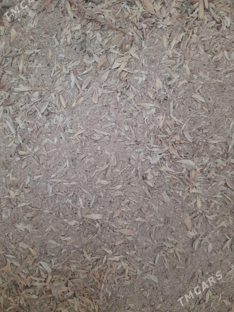 uwelen im - Багир - img 2