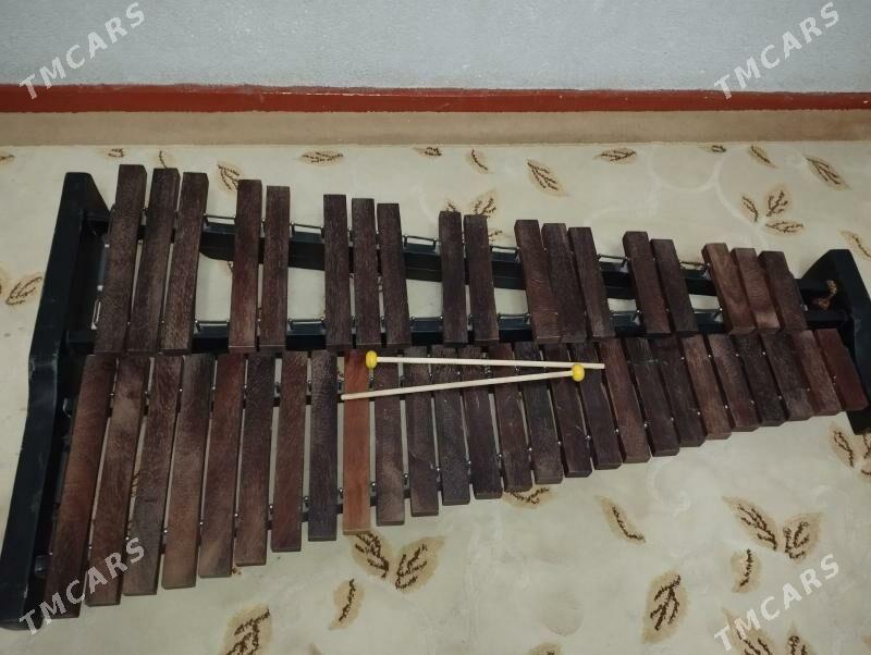 Ksilofon - Дашогуз - img 3