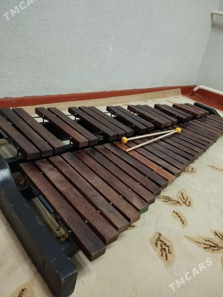 Ksilofon - Дашогуз - img 2