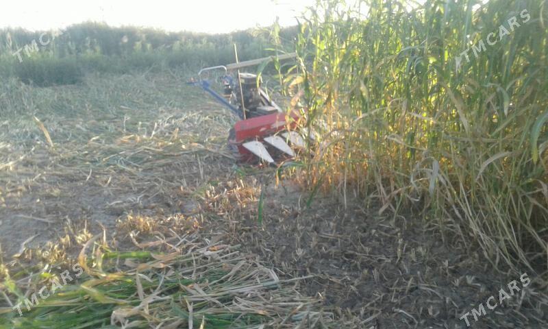 Mini kombaýyn . - Görogly (Tagta) - img 2