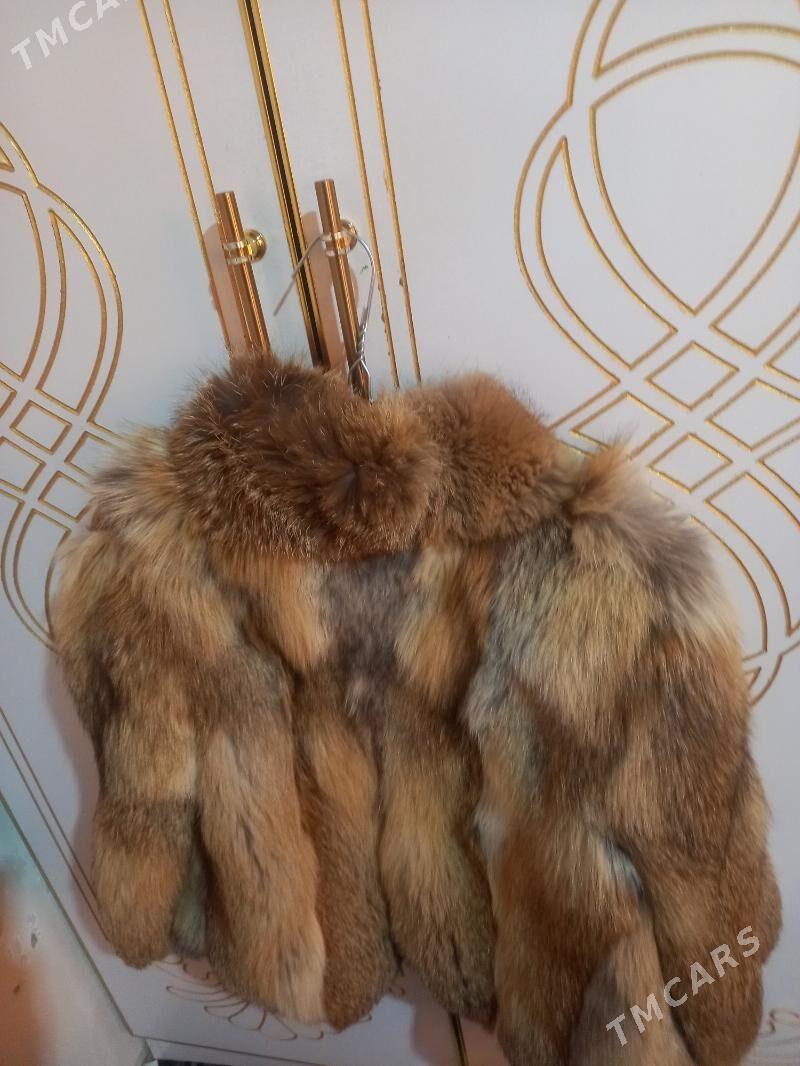 suba - Daşoguz - img 2