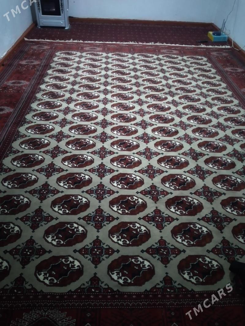 Haly - Балканабат - img 2