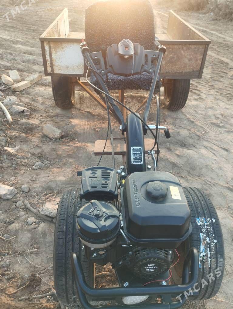 MTZ T-28 2025 - 9 800 TMT - Гороглы (Тагта) - img 2