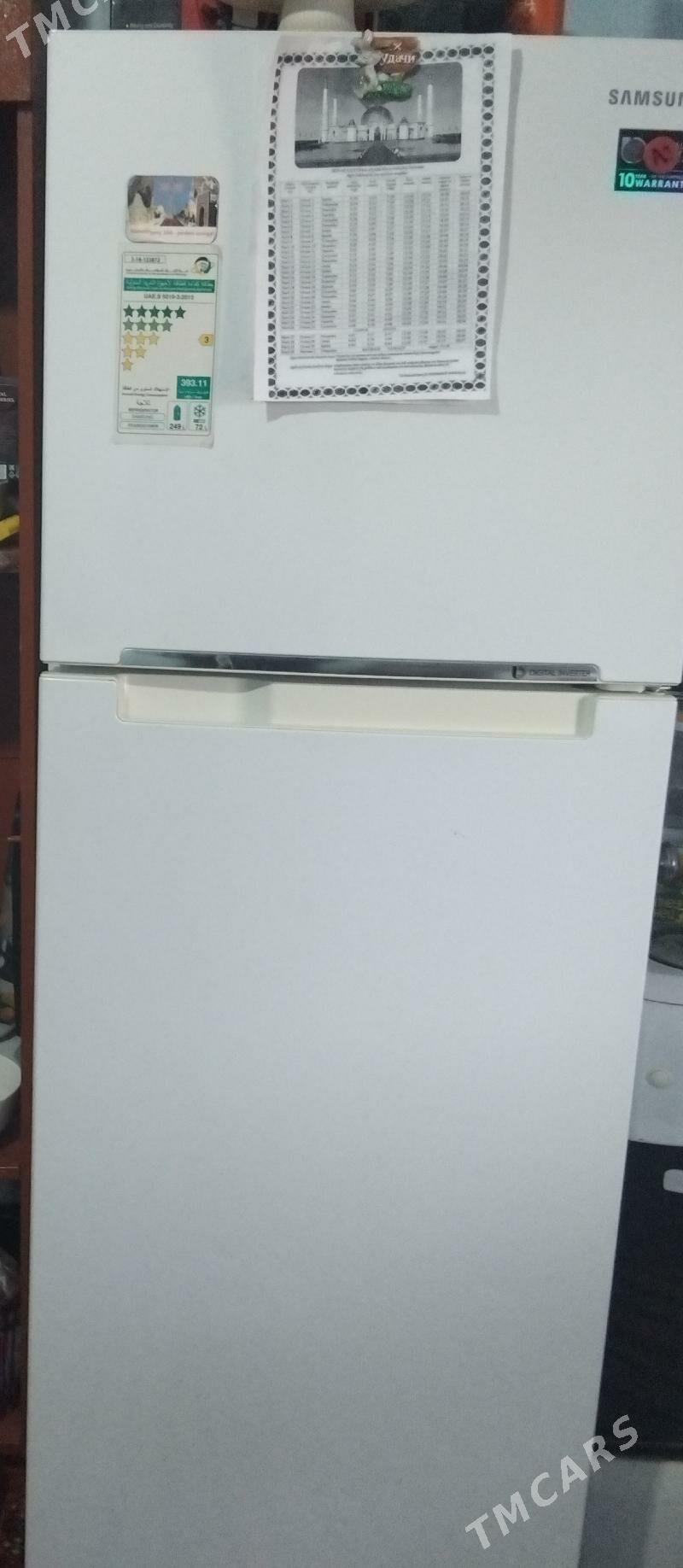 Holodinlik - Мары - img 4