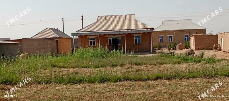 Satlyk jay - Baýramaly - img 3