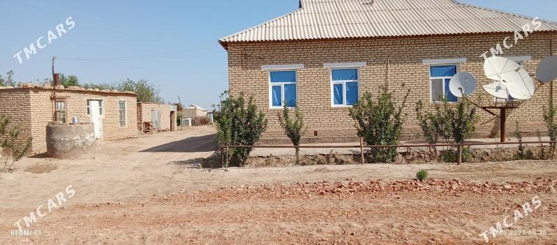 Satlyk jay - Baýramaly - img 2