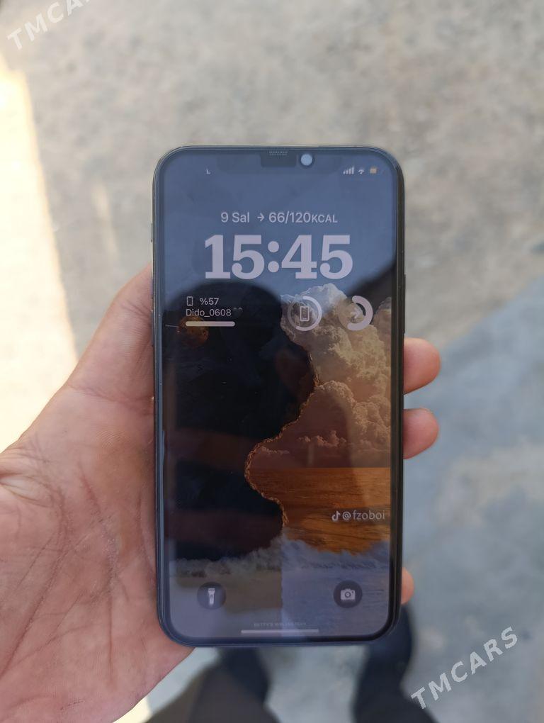 Ipxone 11pro - Mary - img 4