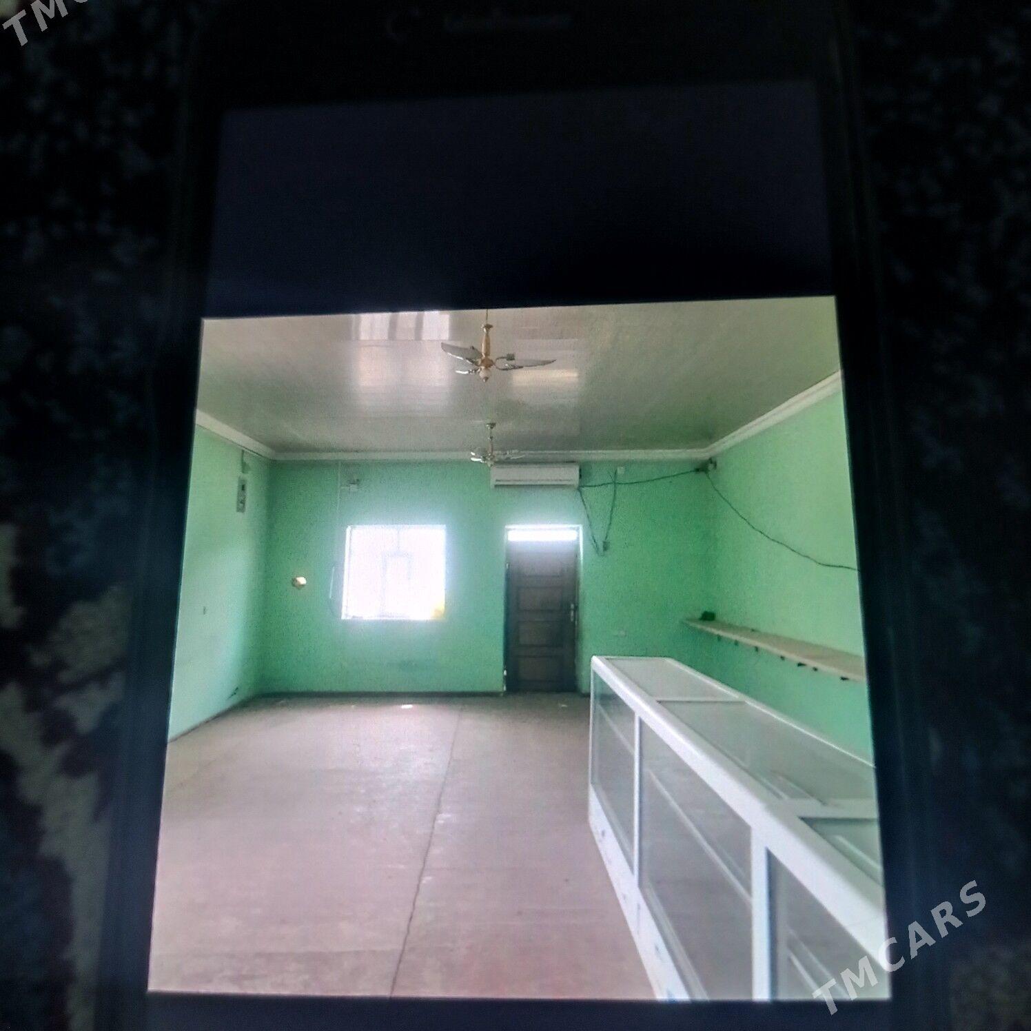 jay - Gyzylarbat - img 3