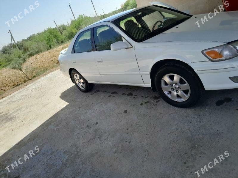 Toyota Camry 1999 - 130 000 TMT - Бабадайхан - img 5