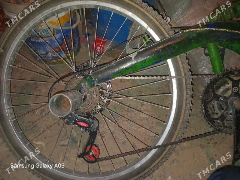 Welsepit spartiwni  tigir - Bäherden - img 2