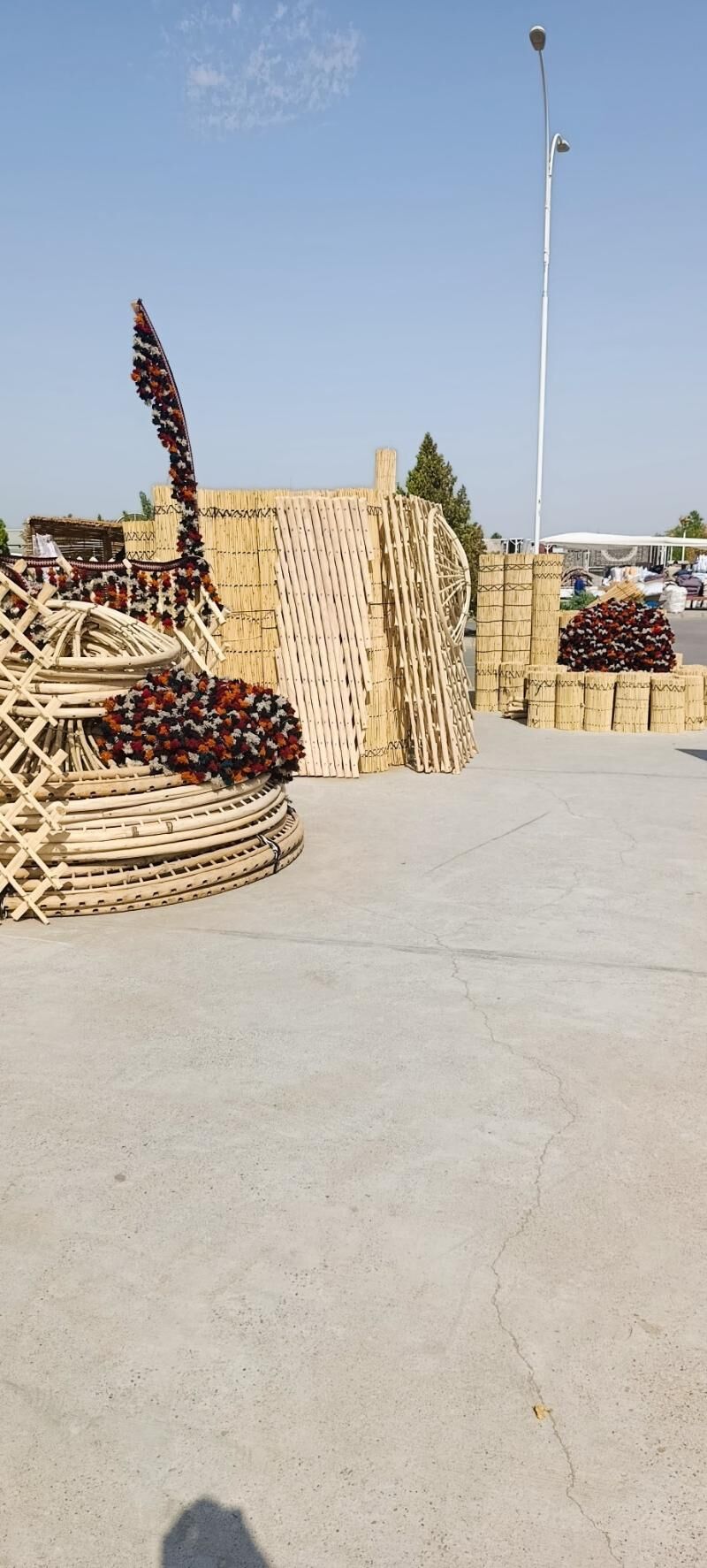 гамыш Gamyş AK öy gara Raşotgo - Чоганлы - img 1