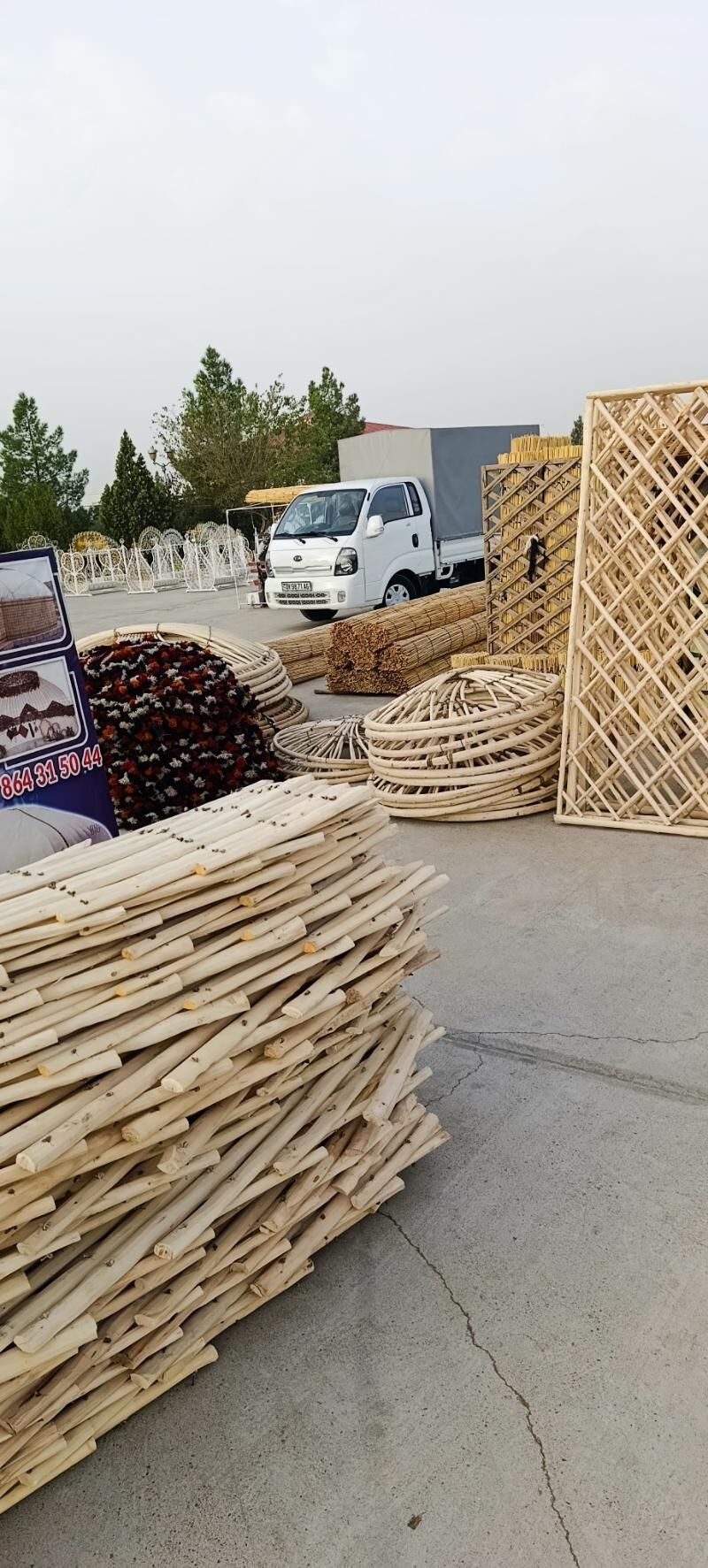 гамыш Gamyş AK öy gara Raşotgo - Çoganly - img 2