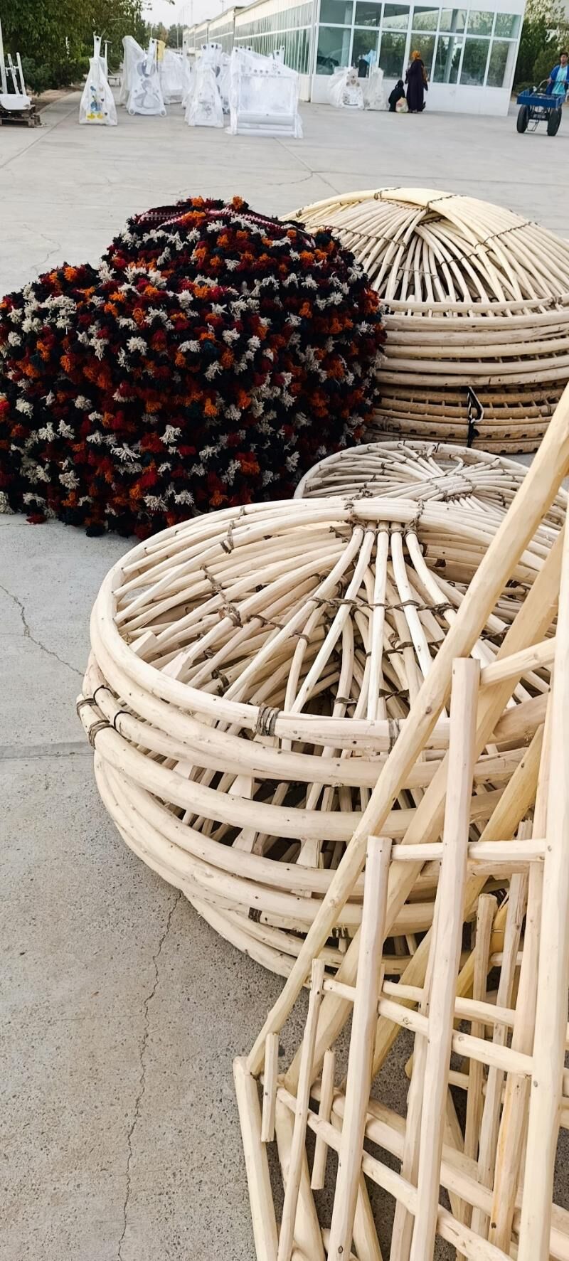 гамыш Gamyş AK öy gara Raşotgo - Çoganly - img 3