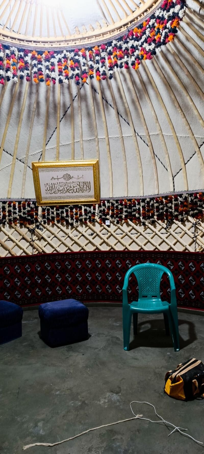 гамыш Gamyş AK öy gara Raşotgo - Çoganly - img 6