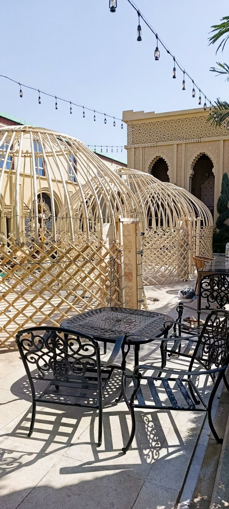 гамыш Gamyş AK öy gara Raşotgo - Çoganly - img 4