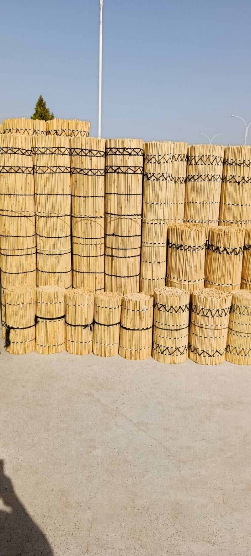 гамыш Gamyş AK öy gara Raşotgo - Çoganly - img 7