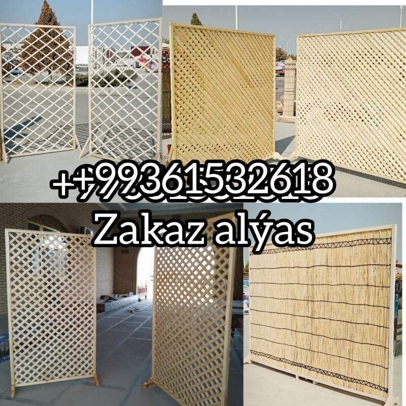 гамыш Gamyş AK öy gara Raşotgo - Çoganly - img 9