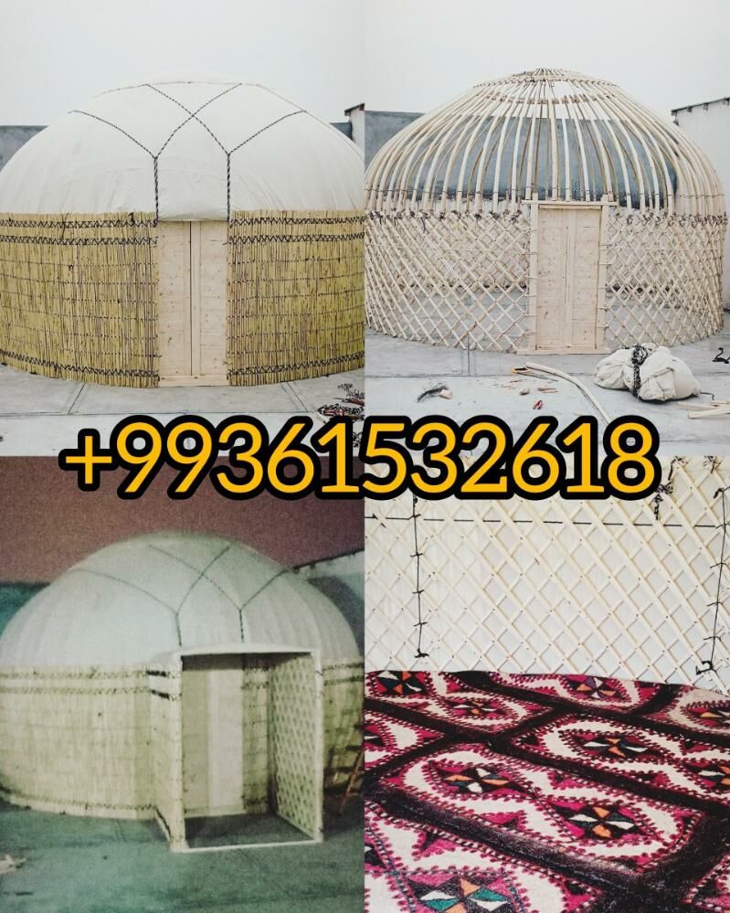 гамыш Gamyş AK öy gara Raşotgo - Çoganly - img 10