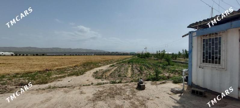 Anew Magtymguly 9-Gektar yer - Ak bugdaý etraby - img 7