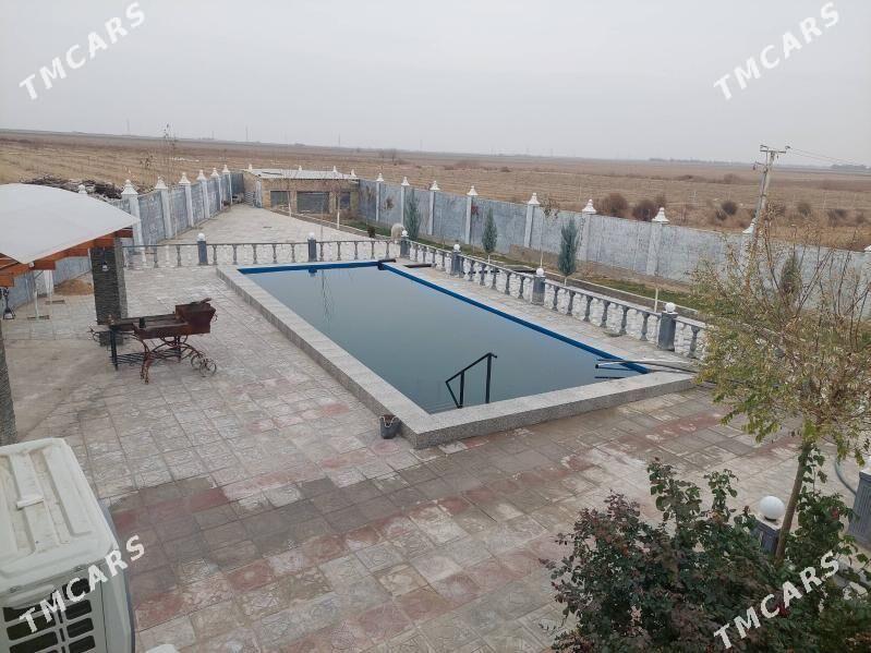 Anew Magtymguly 9-Gektar yer - Ak bugdaý etraby - img 6