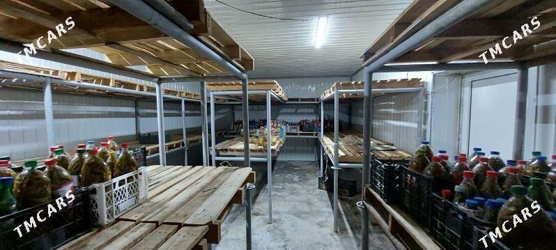 Anew Magtymguly 9-Gektar yer - Ak bugdaý etraby - img 5