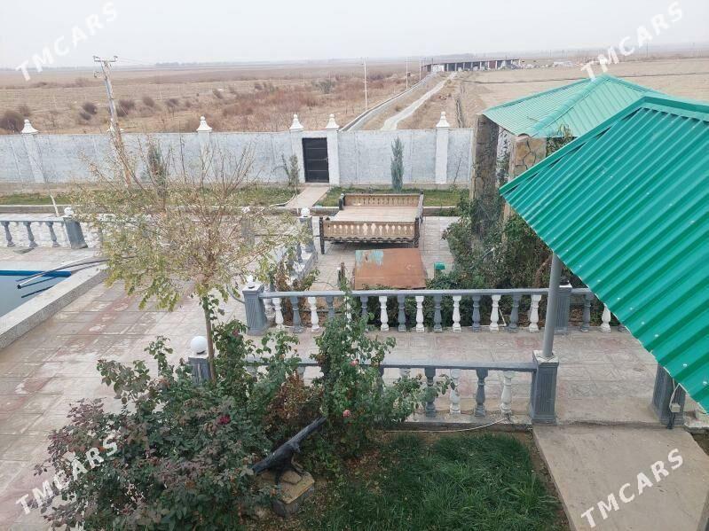 Anew Magtymguly 9-Gektar yer - Ak bugdaý etraby - img 8