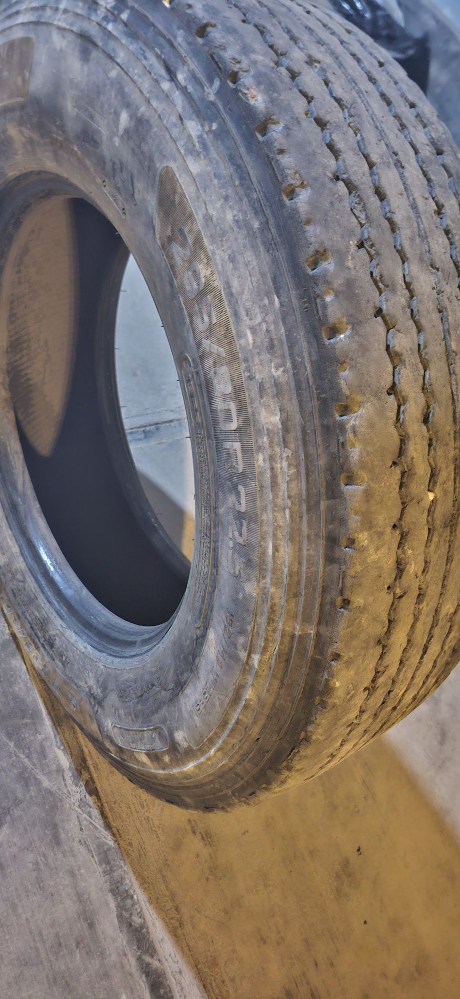 Teker bez kamyr 300 TMT - Ашхабад - img 5