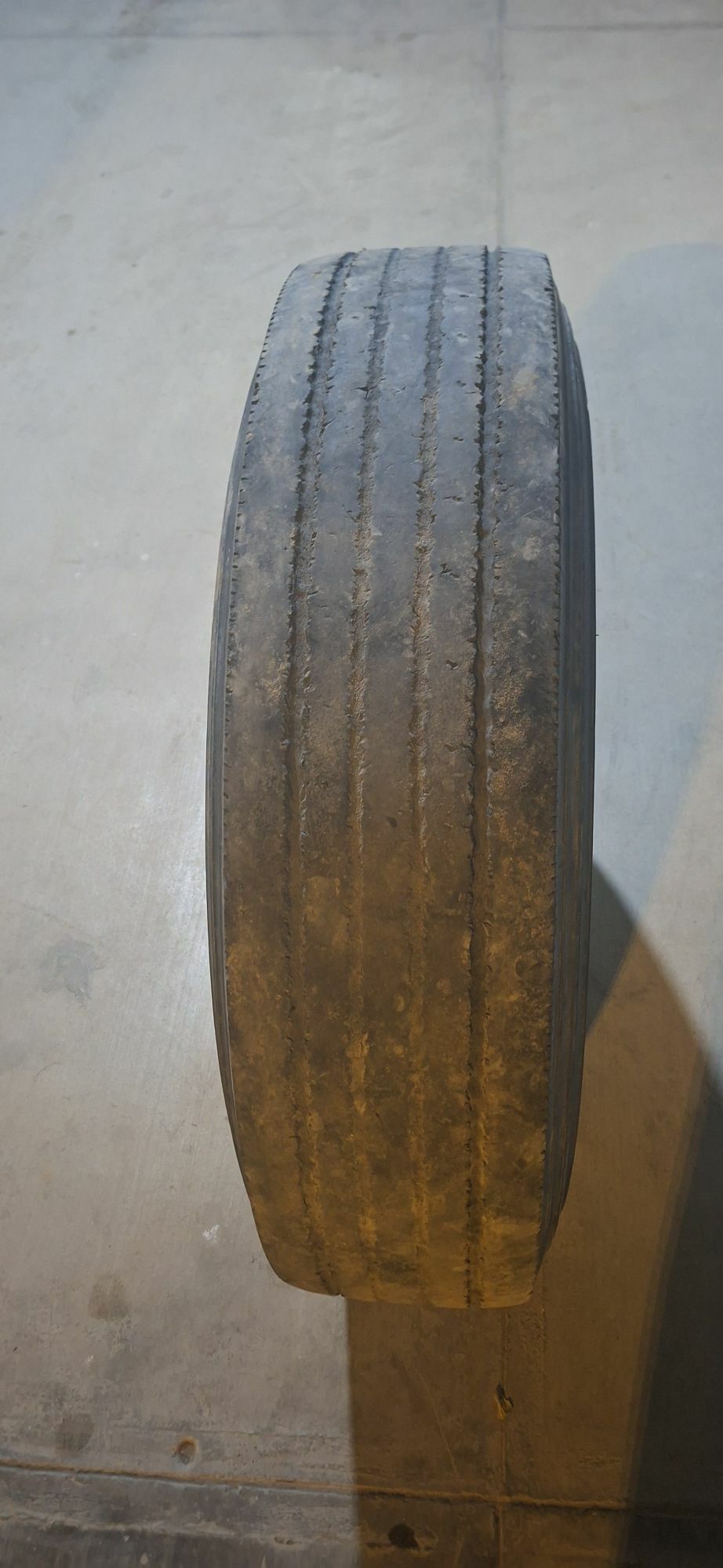 Teker bez kamyr 300 TMT - Ашхабад - img 8