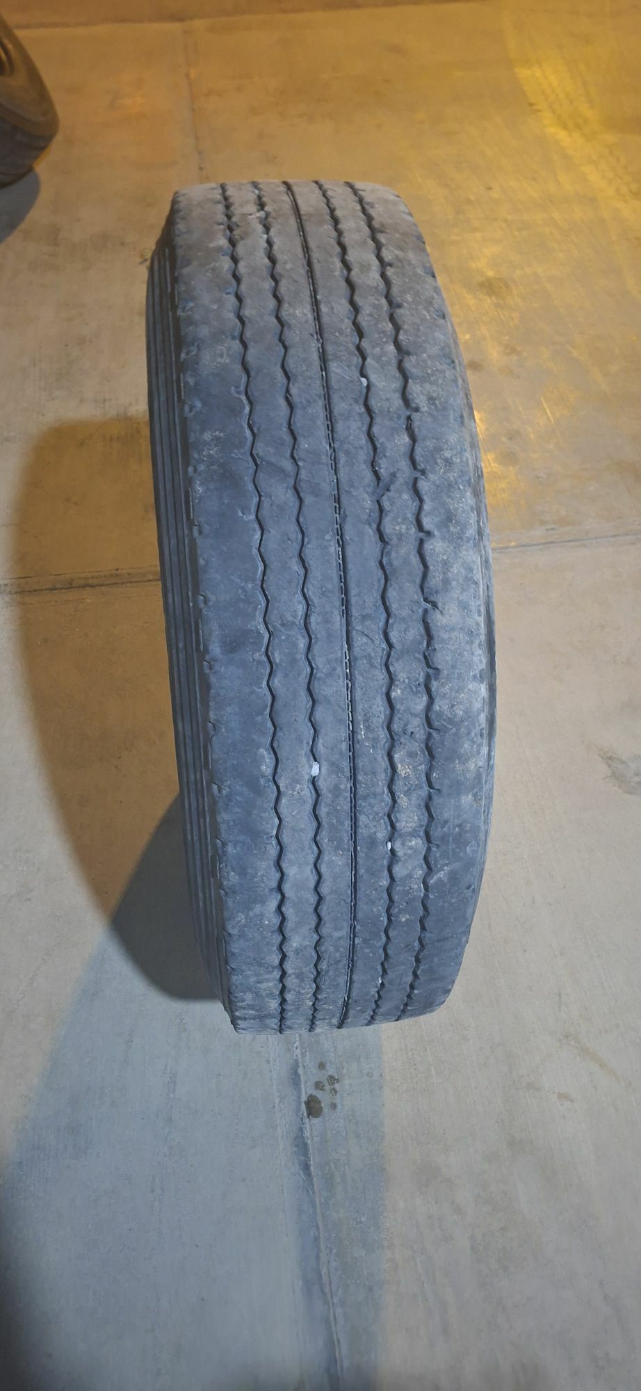 Teker bez kamyr 300 TMT - Ашхабад - img 10