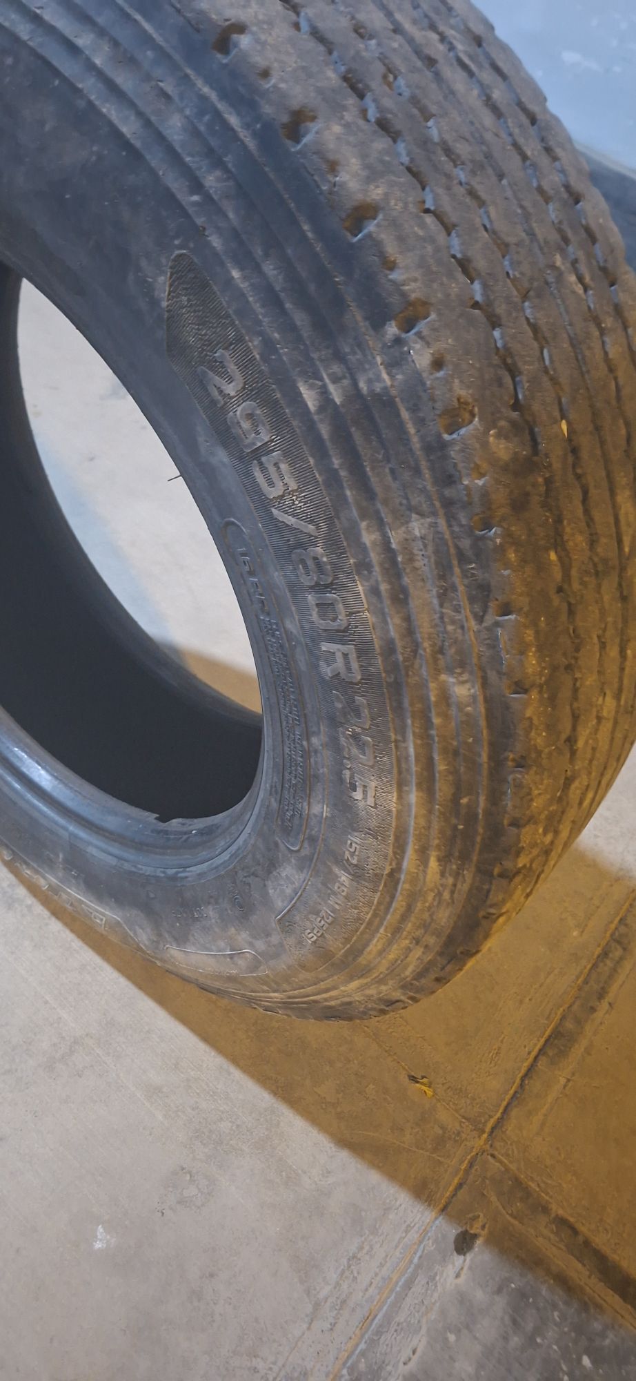 Teker bez kamyr 300 TMT - Ашхабад - img 9