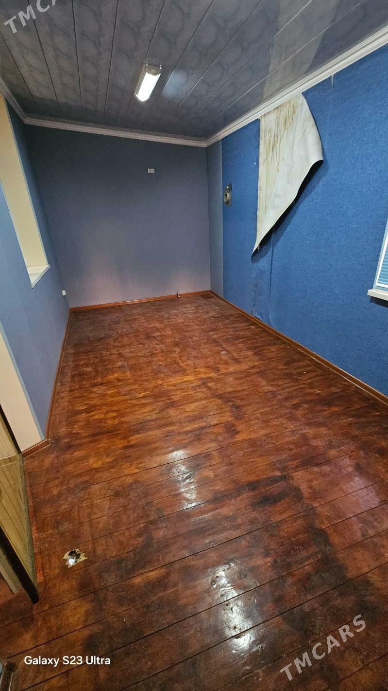   Satlyk jay - Mary - img 7