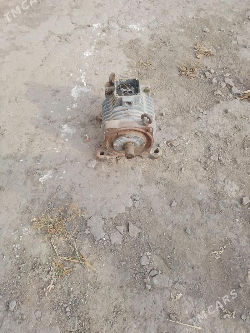 Ток Генатыр - Гороглы (Тагта) - img 3