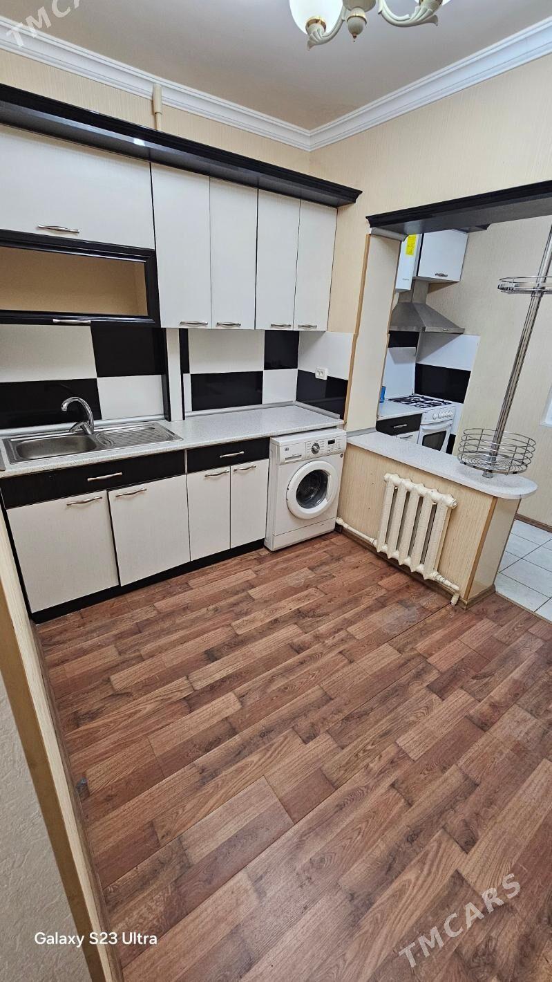   Satlyk jay - Mary - img 2