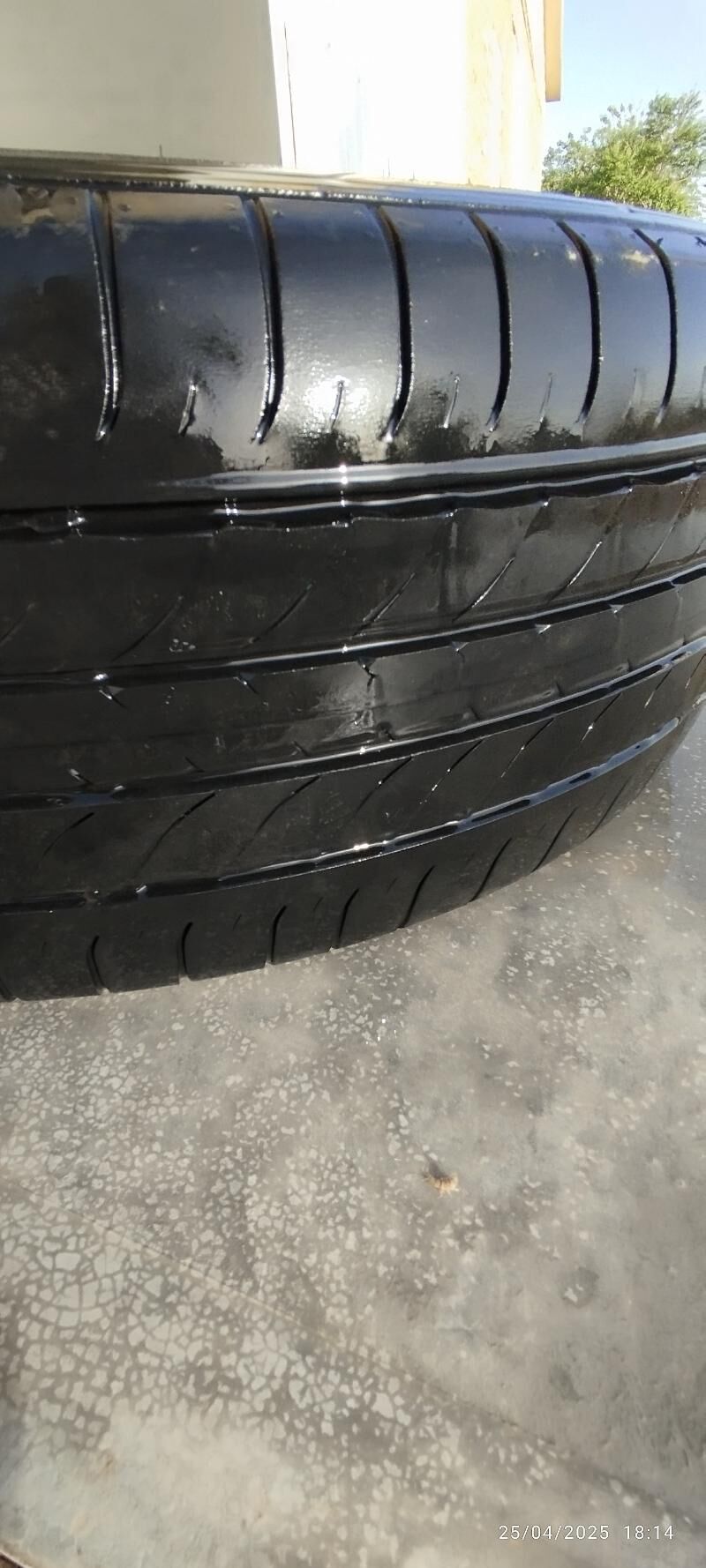 Dunlop tekerler 250 TMT - Мары - img 2