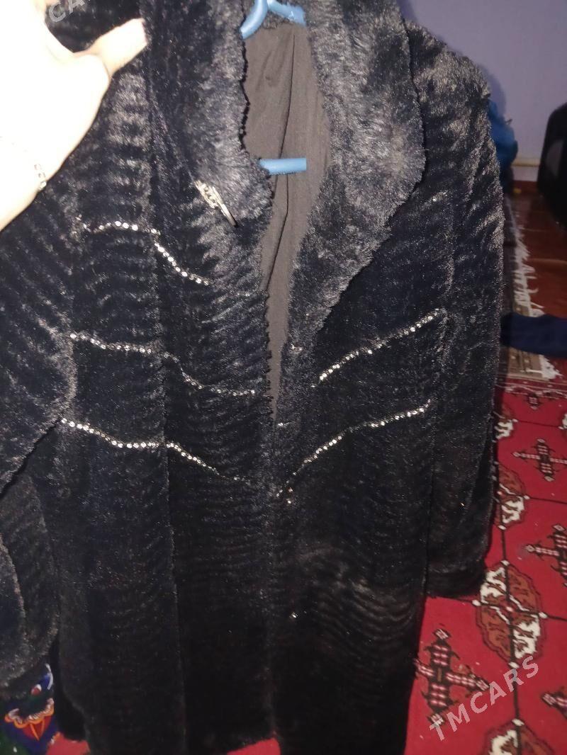 şuba - Daşoguz - img 2