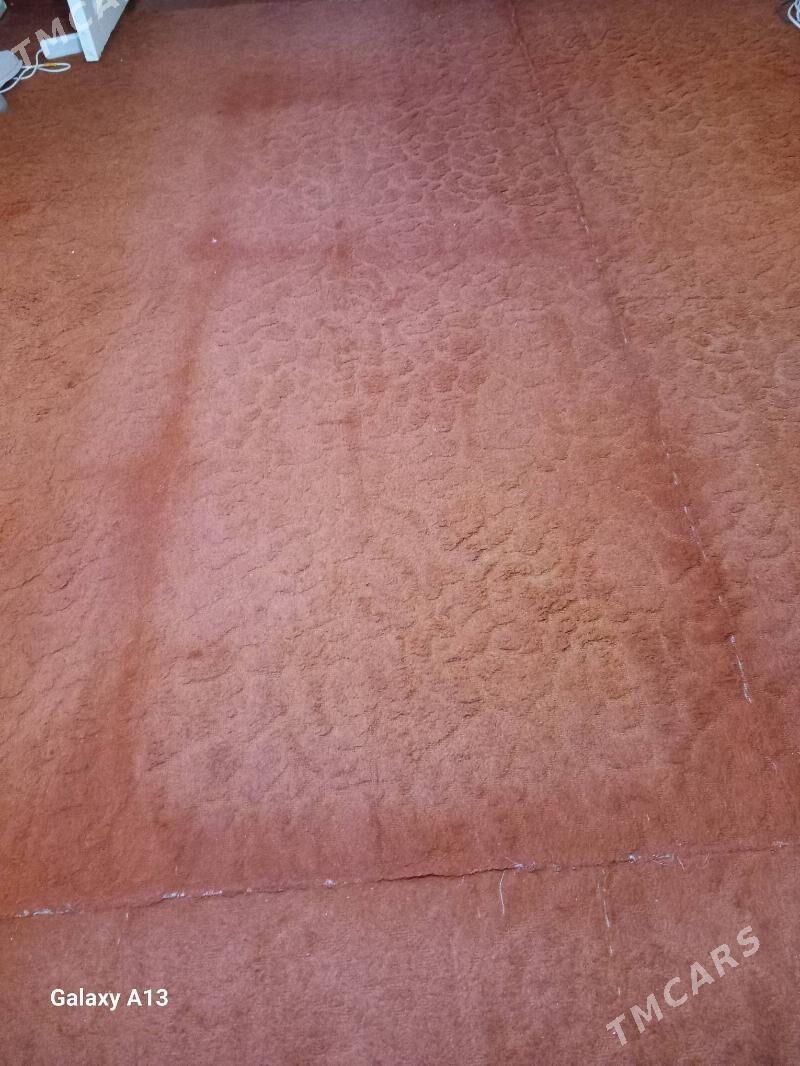 haly - Görogly (Tagta) - img 2